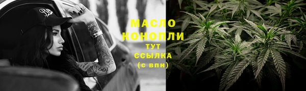 apvp Каменка