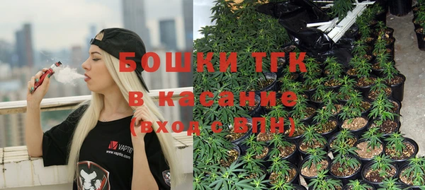 apvp Каменка