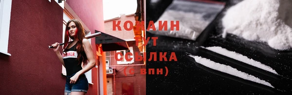 apvp Каменка