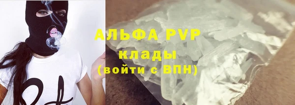соль ск Каменногорск