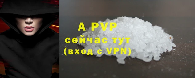 apvp Каменка