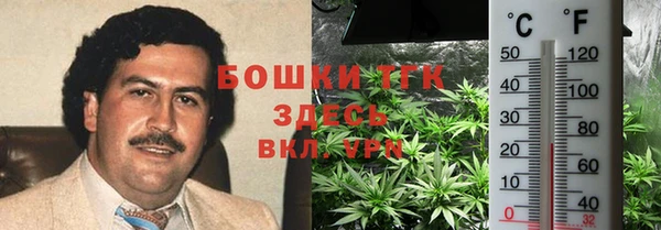 соль ск Каменногорск