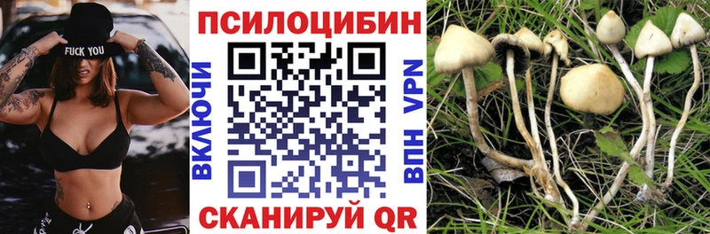 Купить  Черепаново  Галлюциногенные грибы прущие грибы 